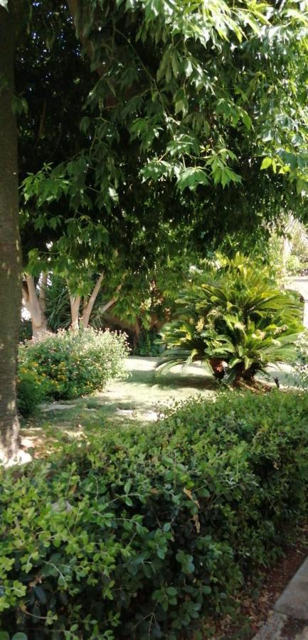 Residence Il Giunco Presicce Exterior photo